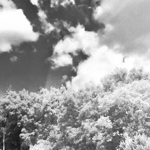 Meet your Posher, Mardy